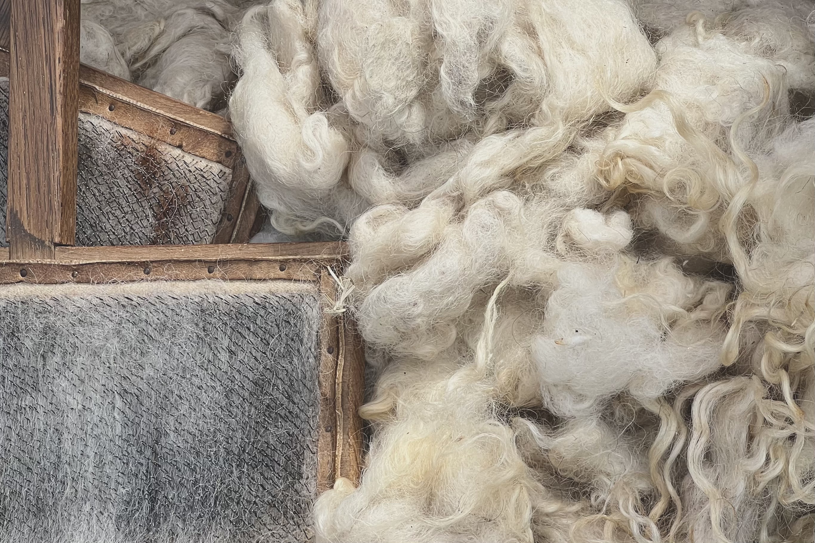 Unveiling the Cozy World of Sheep Wool: A Textile Industry Favourite