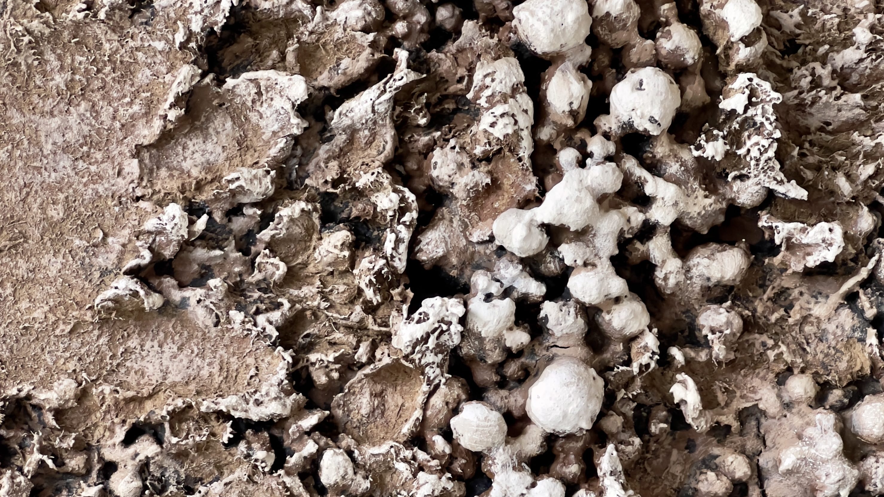 Close-up of Arsenisca texture — raw paper clay surface with organic cracks and white earthy particles